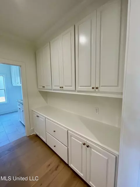 Entry Way - 372 Wellstone Pl, Madison, MS 39110 photo 2 of 2