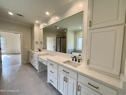 Bath - 372 Wellstone Pl, Madison, MS 39110 photo 8 of 9