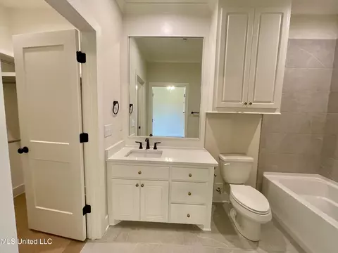 Bath - 372 Wellstone Pl, Madison, MS 39110 photo 1 of 9