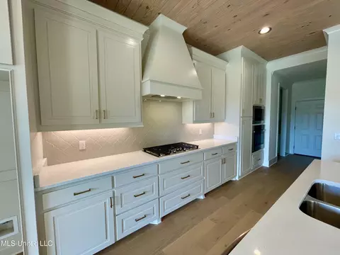 Kitchen - 372 Wellstone Pl, Madison, MS 39110 photo 6 of 8