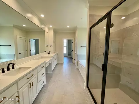 Bath - 372 Wellstone Pl, Madison, MS 39110 photo 6 of 9