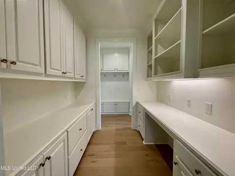 Other - 372 Wellstone Pl, Madison, MS 39110 photo 9 of 14