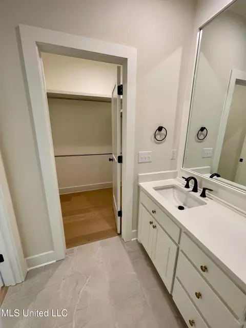 Other - 372 Wellstone Pl, Madison, MS 39110 photo 12 of 14