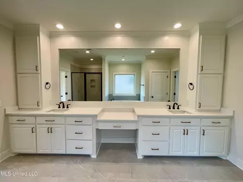 Bath - 372 Wellstone Pl, Madison, MS 39110 photo 7 of 9