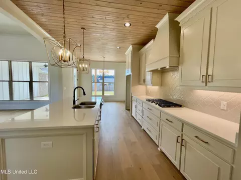 Kitchen - 372 Wellstone Pl, Madison, MS 39110 photo 5 of 8