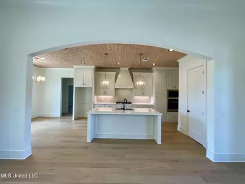 Other - 372 Wellstone Pl, Madison, MS 39110 photo 3 of 14
