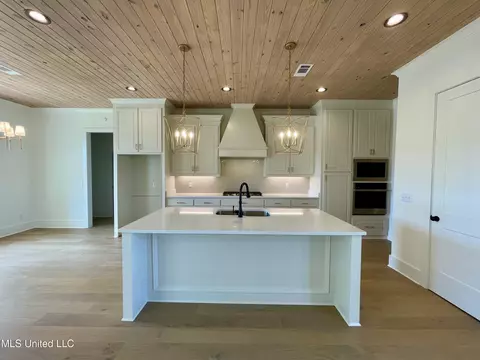 Kitchen - 372 Wellstone Pl, Madison, MS 39110 photo 2 of 8