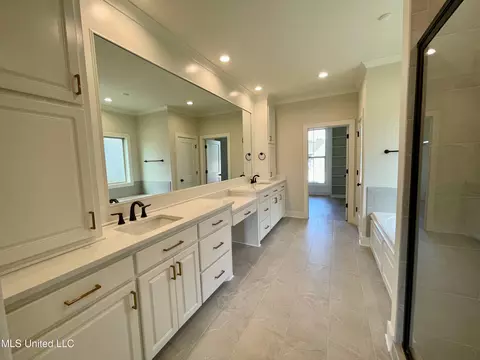 Bath - 372 Wellstone Pl, Madison, MS 39110 photo 5 of 9