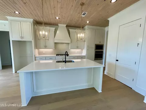 Kitchen - 372 Wellstone Pl, Madison, MS 39110 photo 1 of 8