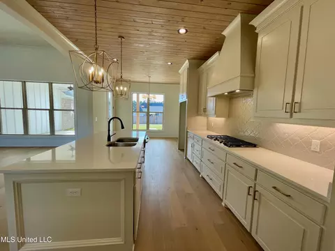 Kitchen - 372 Wellstone Pl, Madison, MS 39110 photo 8 of 8