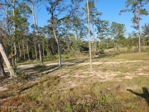 2 Silver Run Rd, Poplarville, MS 39470