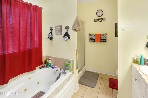 Bath - 131 Devlin Springs Dr, Madison, MS 39110 photo 1 of 3