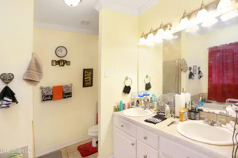 Bath - 131 Devlin Springs Dr, Madison, MS 39110 photo 2 of 3