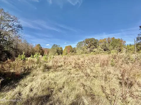 6803 Bowling Green Rd, Durant, MS 39063 photo 18