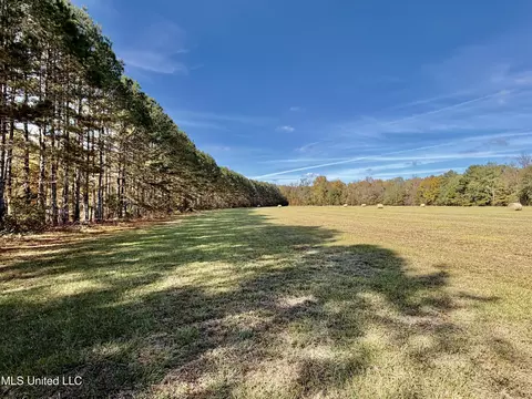 6803 Bowling Green Rd, Durant, MS 39063 photo 14