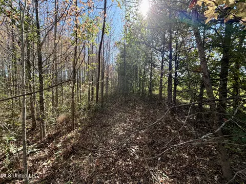 6803 Bowling Green Rd, Durant, MS 39063 photo 5