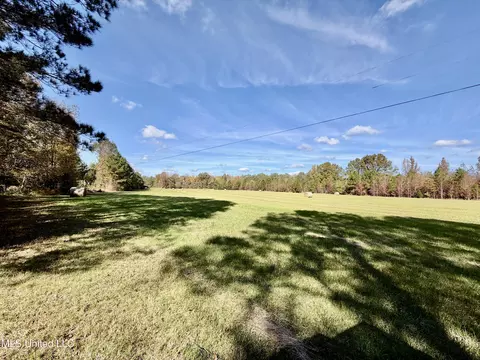 6803 Bowling Green Rd, Durant, MS 39063 photo 10