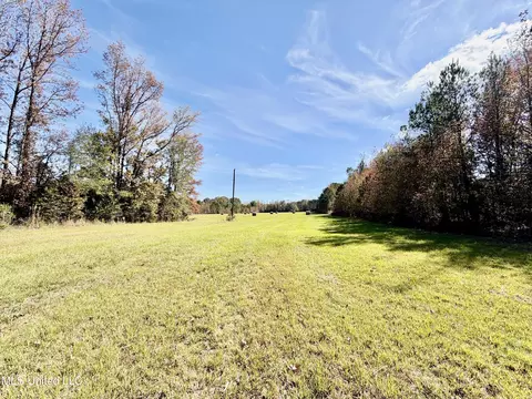 6803 Bowling Green Rd, Durant, MS 39063 photo 11