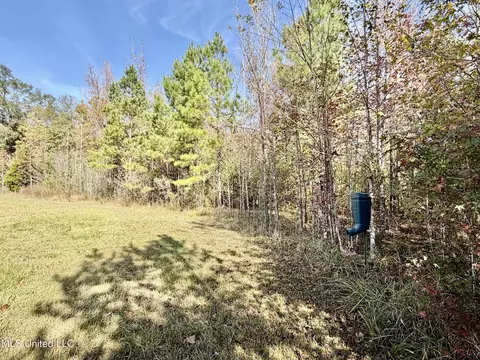 6803 Bowling Green Rd, Durant, MS 39063 photo 12