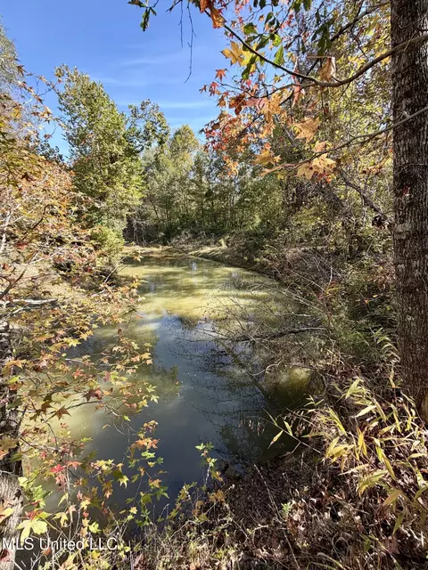6803 Bowling Green Rd, Durant, MS 39063 photo 6
