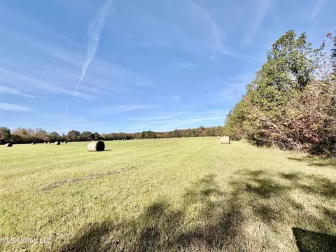 6803 Bowling Green Rd, Durant, MS 39063 photo 4