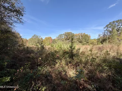 6803 Bowling Green Rd, Durant, MS 39063 photo 16