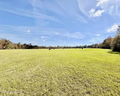 6803 Bowling Green Rd, Durant, MS 39063 photo 8