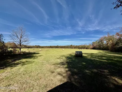 6803 Bowling Green Rd, Durant, MS 39063 photo 2