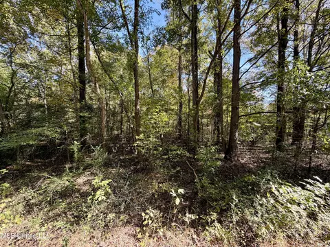 6803 Bowling Green Rd, Durant, MS 39063 photo 15