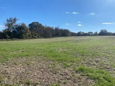 Highway 306, Coldwater, MS 38618 photo 7