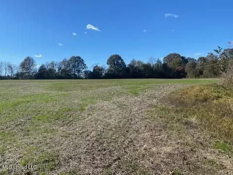 Highway 306, Coldwater, MS 38618 photo 5