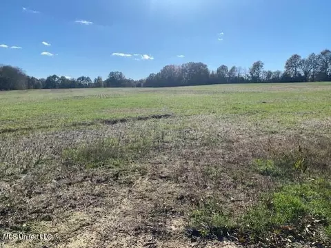 Highway 306, Coldwater, MS 38618 photo 3