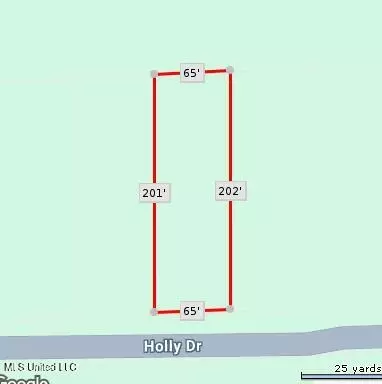 Holly Drive, Lucedale, MS 39452 photo 2