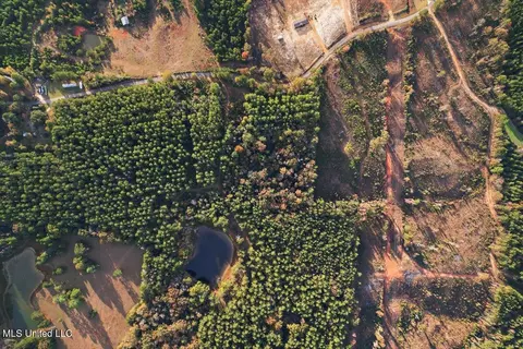 Other - 110 Anse Reed Rd, Magee, MS 39111 photo 14 of 19