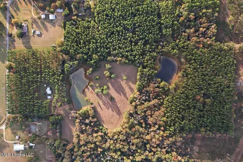 Other - 110 Anse Reed Rd, Magee, MS 39111 photo 15 of 19