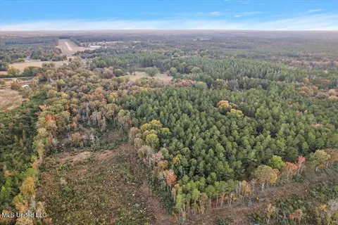 Other - 110 Anse Reed Rd, Magee, MS 39111 photo 12 of 19
