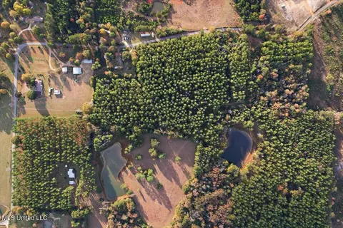 Other - 110 Anse Reed Rd, Magee, MS 39111 photo 16 of 19