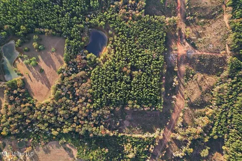 Other - 110 Anse Reed Rd, Magee, MS 39111 photo 18 of 19