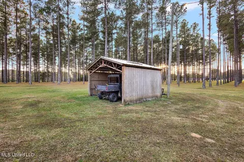 Other - 110 Anse Reed Rd, Magee, MS 39111 photo 6 of 19