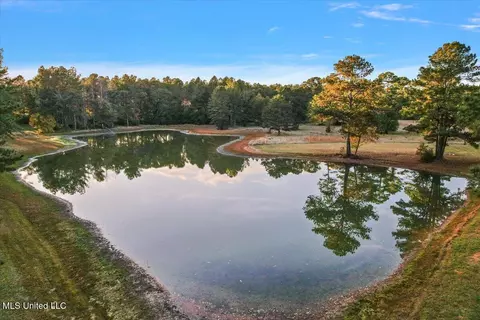 View/Area - 110 Anse Reed Rd, Magee, MS 39111 photo 1 of 2