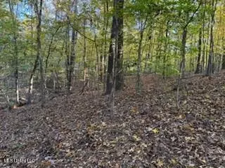 11323 Mingo Dr, Hernando, MS 38632