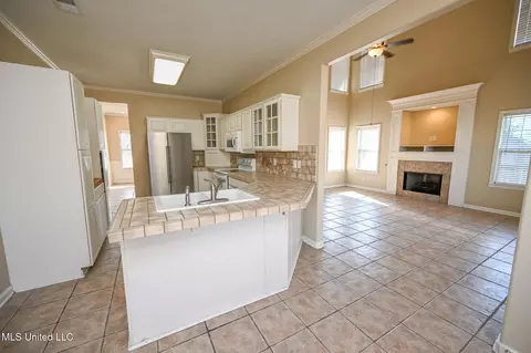 9846 Alexanders Ridge Dr, Olive Branch, MS 38654 photo 15