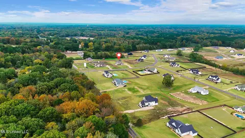 View/Area - 5441 Grays Valley Dr, Hernando, MS 38632 photo 1 of 1