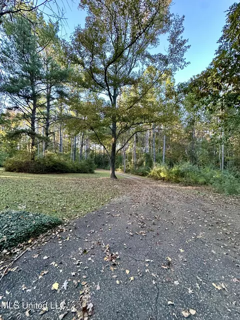 Exterior - 120 Memory Ln, Magee, MS 39111 photo 7 of 14