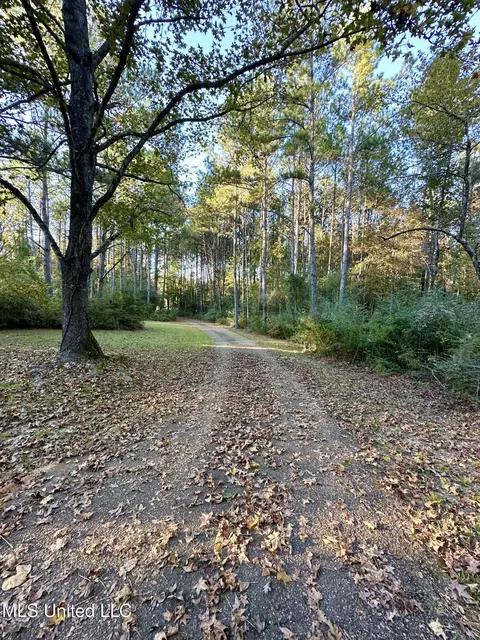 Exterior - 120 Memory Ln, Magee, MS 39111 photo 14 of 14