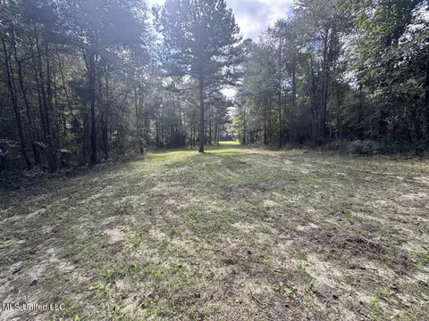 5098 New Hope Rd, Gloster, MS 39638 photo 39