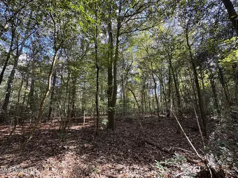 5098 New Hope Rd, Gloster, MS 39638 photo 36