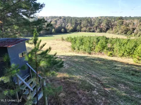 5098 New Hope Rd, Gloster, MS 39638 photo 13