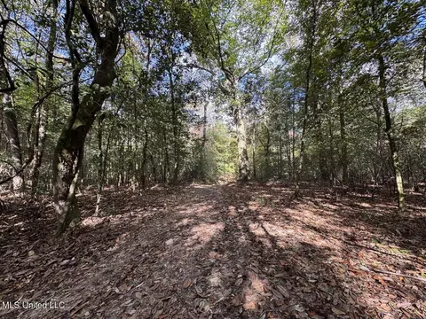 5098 New Hope Rd, Gloster, MS 39638 photo 37