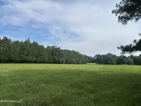 001 Green Acres Dr, Canton, MS 39046 photo 35